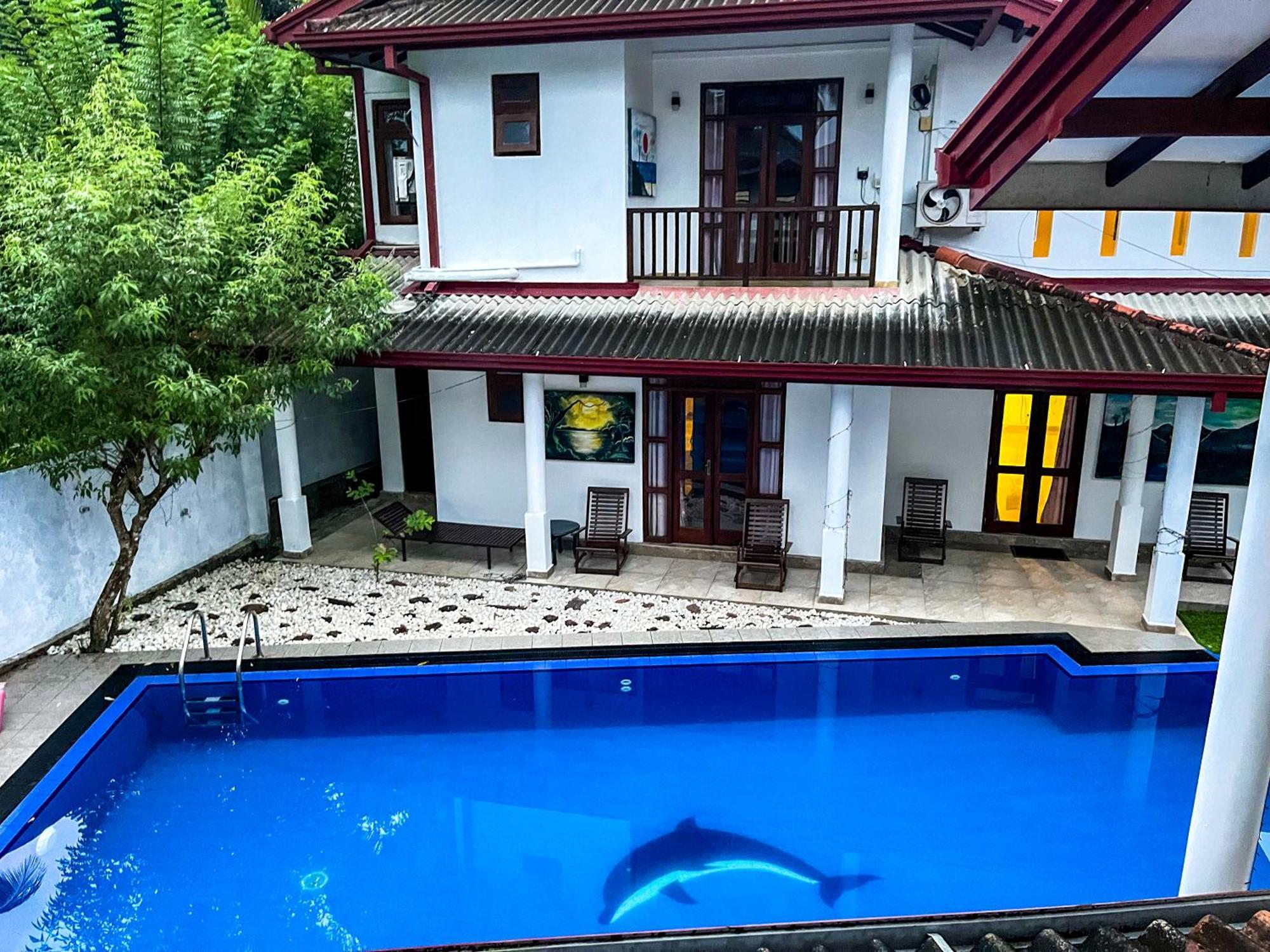 Galle Camellia Exterior foto
