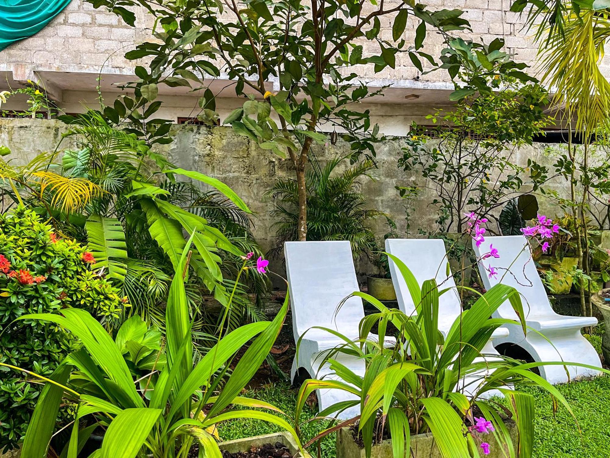 Galle Camellia Exterior foto